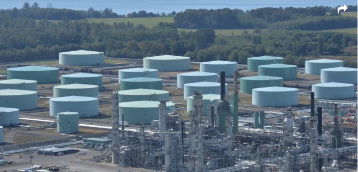 Plans to build a renewable diesel plant near Ferndale have been scrapped. This is why